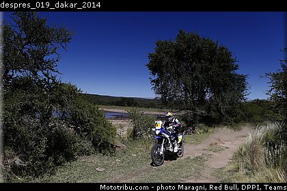 despres_019_dakar_2014.jpg