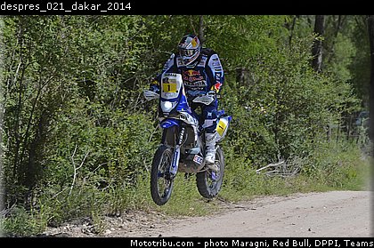 despres_021_dakar_2014.jpg