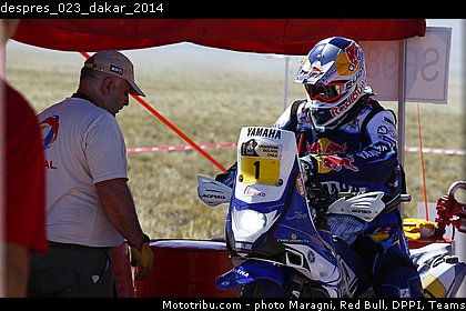 despres_023_dakar_2014.jpg