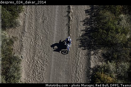 despres_024_dakar_2014.jpg