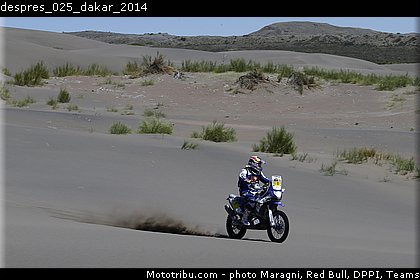 despres_025_dakar_2014.jpg