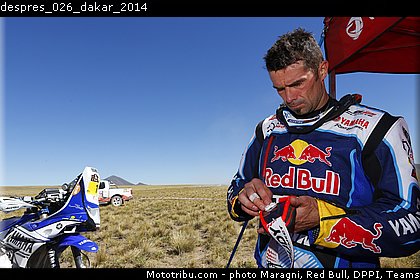 despres_026_dakar_2014.jpg
