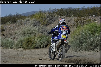 despres_027_dakar_2014.jpg