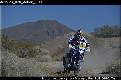 despres_028_dakar_2014.jpg