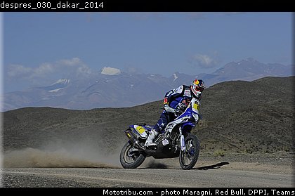 despres_030_dakar_2014.jpg
