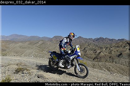 despres_032_dakar_2014.jpg