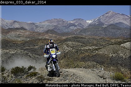 despres_033_dakar_2014.jpg