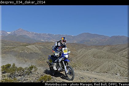 despres_034_dakar_2014.jpg