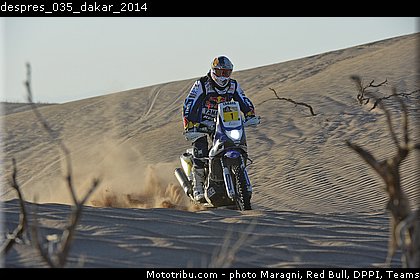 despres_035_dakar_2014.jpg