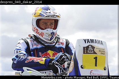 despres_040_dakar_2014.jpg