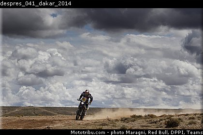 despres_041_dakar_2014.jpg