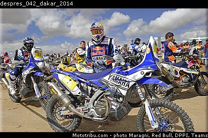despres_042_dakar_2014.jpg