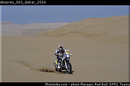 despres_043_dakar_2014.jpg