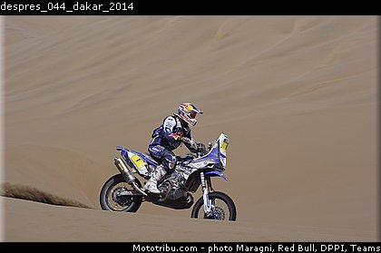 despres_044_dakar_2014.jpg