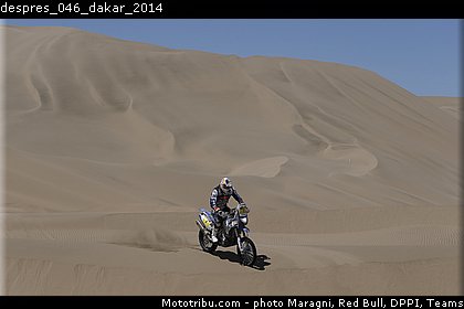 despres_046_dakar_2014.jpg