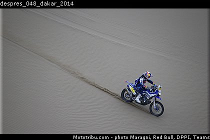 despres_048_dakar_2014.jpg