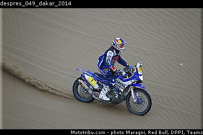 despres_049_dakar_2014.jpg