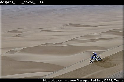 despres_050_dakar_2014.jpg