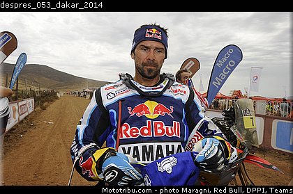 despres_053_dakar_2014.jpg