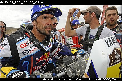 despres_055_dakar_2014.jpg
