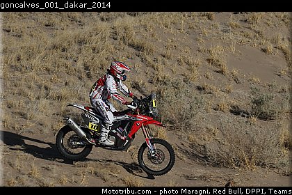 goncalves_001_dakar_2014.jpg