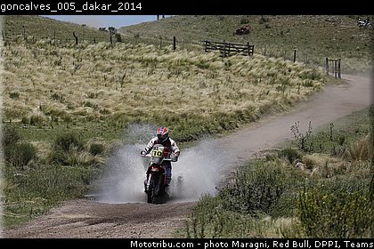 goncalves_005_dakar_2014.jpg
