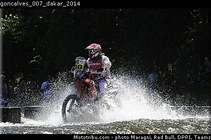 goncalves_007_dakar_2014.jpg