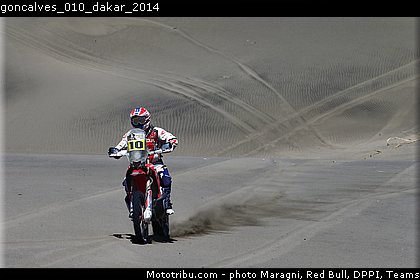 goncalves_010_dakar_2014.jpg