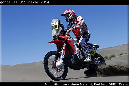 goncalves_011_dakar_2014.jpg