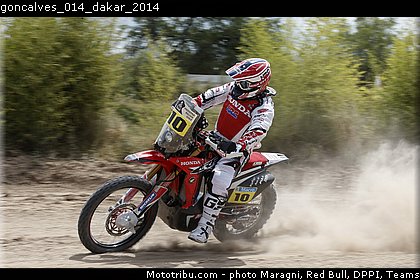 goncalves_014_dakar_2014.jpg