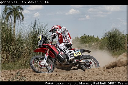 goncalves_015_dakar_2014.jpg