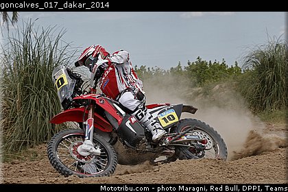 goncalves_017_dakar_2014.jpg