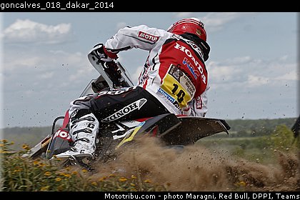 goncalves_018_dakar_2014.jpg