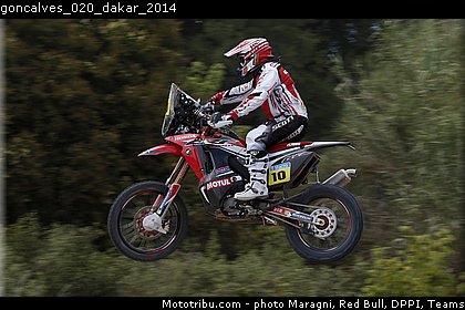 goncalves_020_dakar_2014.jpg