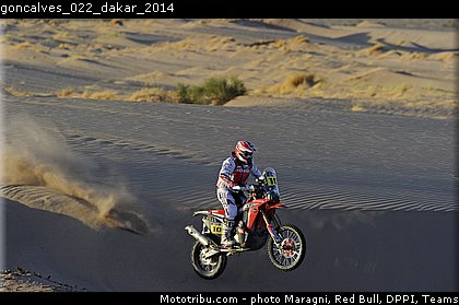 goncalves_022_dakar_2014.jpg