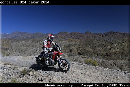 goncalves_024_dakar_2014.jpg