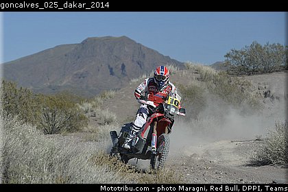 goncalves_025_dakar_2014.jpg