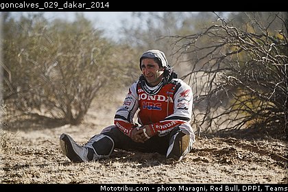 goncalves_029_dakar_2014.jpg