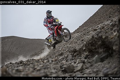goncalves_031_dakar_2014.jpg