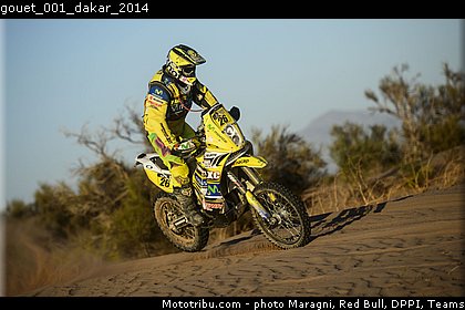gouet_001_dakar_2014.jpg