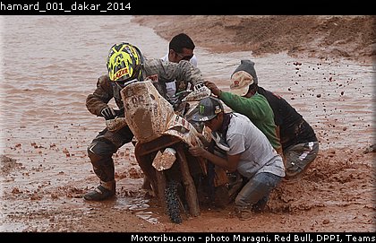 hamard_001_dakar_2014.jpg