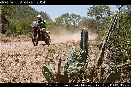 oliveira_009_dakar_2014.jpg