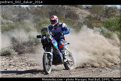pedrero_002_dakar_2014.jpg