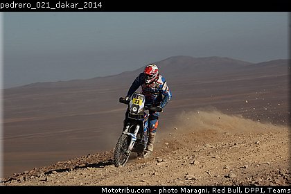 pedrero_021_dakar_2014.jpg