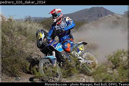 pedrero_026_dakar_2014.jpg