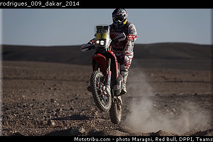 rodrigues_009_dakar_2014.jpg