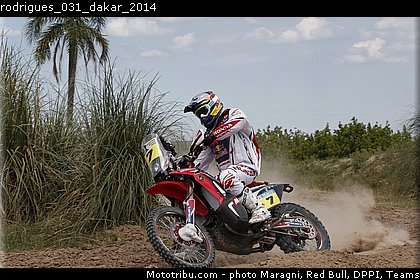 rodrigues_031_dakar_2014.jpg