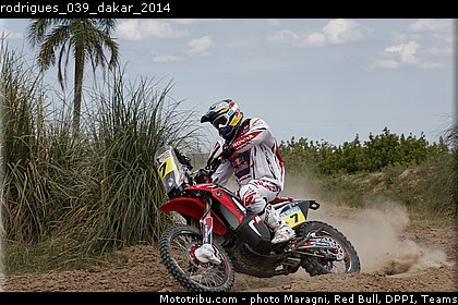 rodrigues_039_dakar_2014.jpg