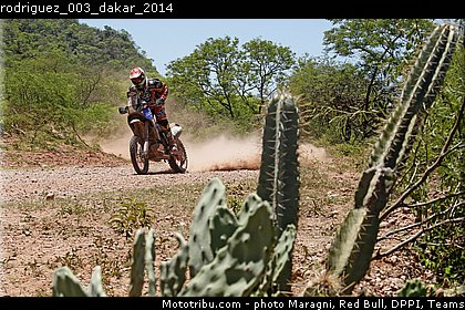 rodriguez_003_dakar_2014.jpg