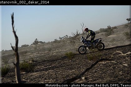 stanovnik_002_dakar_2014.jpg